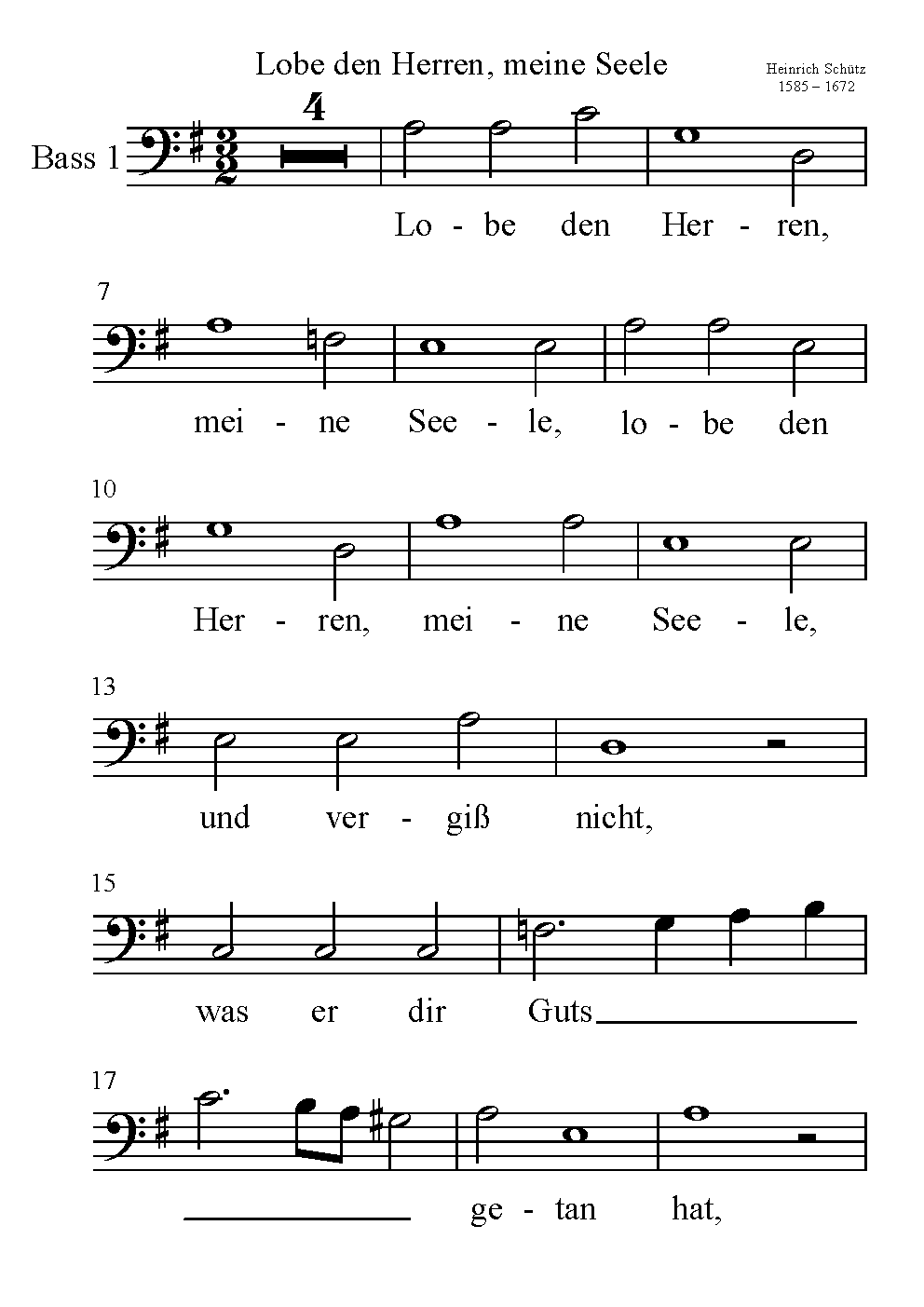 Bass 1 XXL